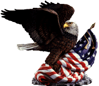 Please support the Noble Eagle Memorial Quilt Project